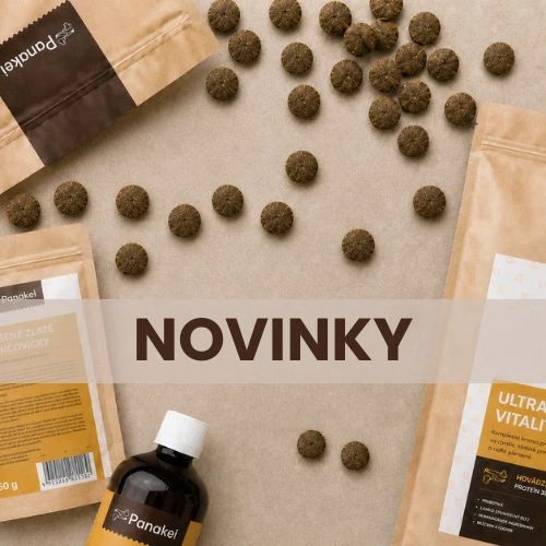 Novinky