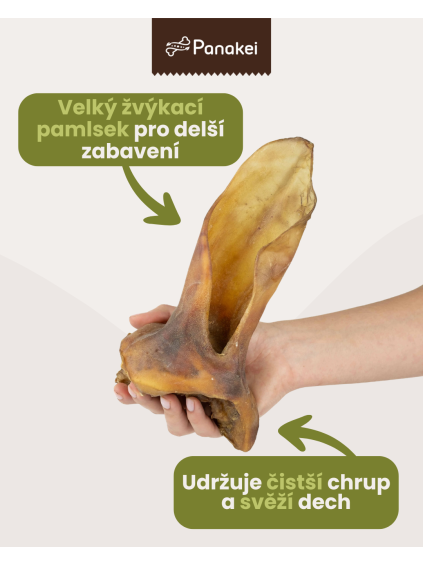 Velké sušené XXL hovězí ucho s masem Panakei držené vertikálně v ruce s grafickými popisy o delším zabavení a podpoře čistšího chrupu.