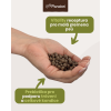 Receptura Vitality pro malá plemena psů: Detail menších granulí Panakei v dlani s prebiotiky na podporu trávení a celkové kondice.