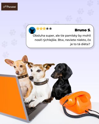 Ak by váš pes vedel napísať recenziu na svoj život s vami, čo by napísal? 🐶📝 Napíšte nám do komentárov, tie najlepšie...